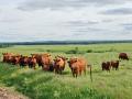 (Progressive Farmer image by Jim Patrico)