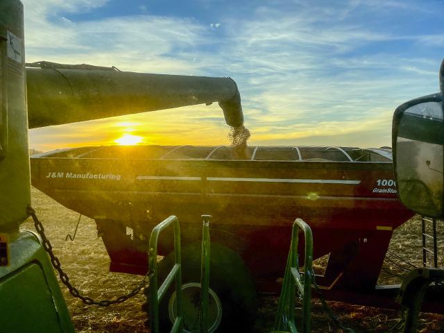 Blogger Jennifer Campbell had longed to be in the seat of a combine, to know what it felt like to run the machine. (DTN/Progressive Farmer photo by Jennifer Campbell)