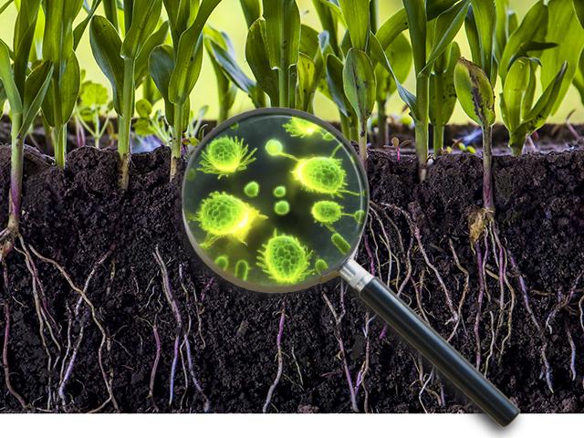 You&#039;ll need to focus deep to consider all the claims of the efficacy of biologicals. (Getty Imagesâ??, Adobe Stockâ??, Photo Illustration Barry Falkner, Adobe Firefly)