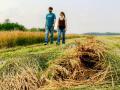 Benjamin and Mikayla Tabert, along with their family, rely on continued experimentation with types of cover crops and grasses. (Des Keller)