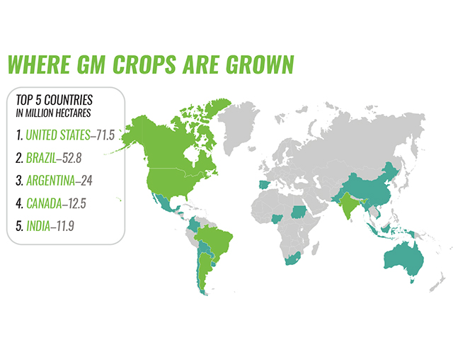 Where GM crops are grown (Progressive Farmer image by Getty Images/Progressive Farmer)