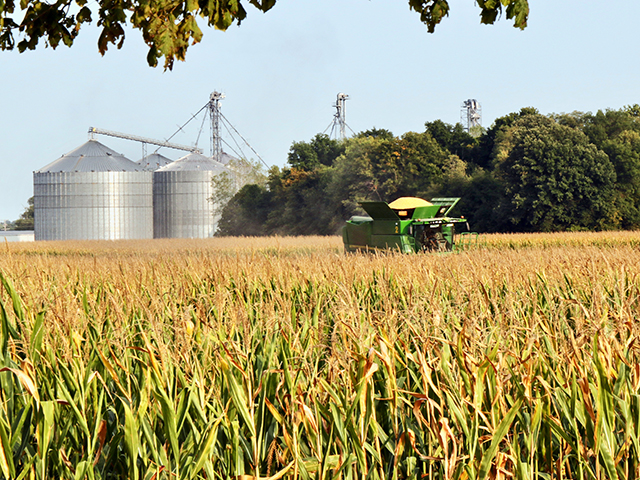 Profit is the name of the game for Stoy Farms. They grow GM corn but non-GM soybeans. (Progressive Farmer image by Des Keller)