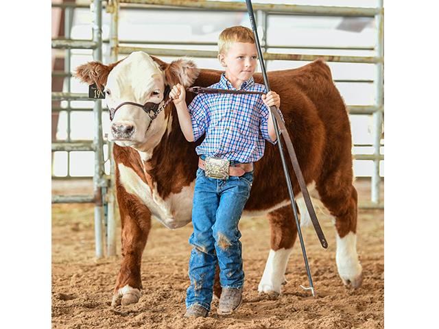 Blogger Tiffany Dowell Lashmet shares a realization she had after seeing a livestock show through the eyes of others. (Photo by Dylan Voyles)