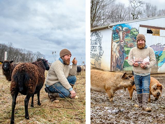 Jake Kristophel has found a sweet spot with sheep and hogs at his Pennsylvania operation, Fallen Aspen Farm. (Joel Reichenberger)