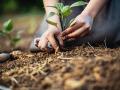 (Progressive Farmer image by LukaTDB, Lajst, Getty Images)