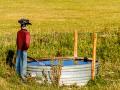(Progressive Farmer image by tvirbickis, Getty Images)
