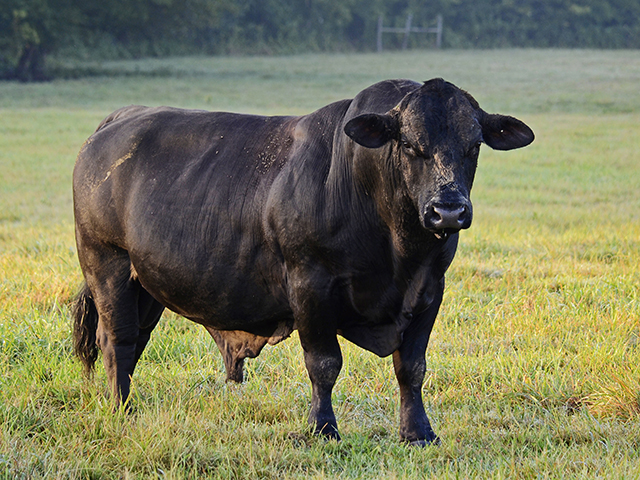 (Progressive Farmer image by Brent Warren)