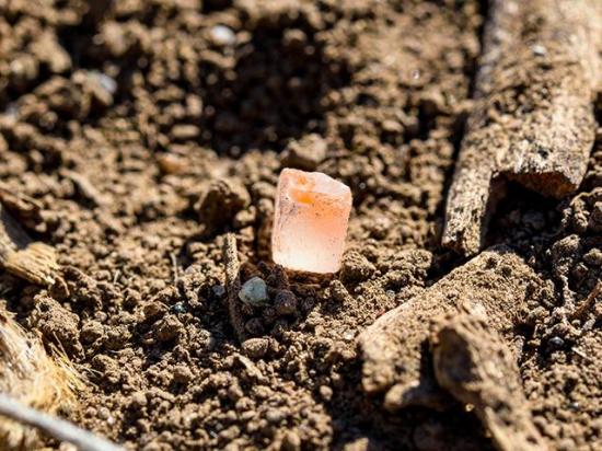 According to a recent American Farm Bureau Federation (AFBF) survey, U.S. farmers are seeing negative effects from rising input costs. Specifically, fertilizer availability and rising prices are affecting farmers' bottom lines. (DTN file photo)