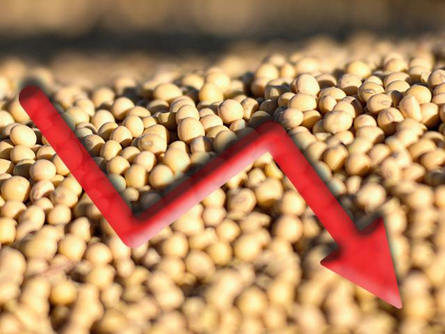 Soybean markets were among the hardest hit Friday after China responded to President Donald Trump&#039;s tariffs with a 34% tariff of its own. China already had tariffs on products such as pork and beef that have slowed sales there. Farm groups called for new trade talks with China. (DTN/Progressive Farmer photo illustration by Jim Patrico and Barry Falkner)