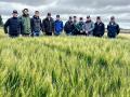Last fall, a group of U.S. wheat farmers traveled to Argentina and saw Bioceres&#039; HB4 transgenic wheat growing in the field. (Courtesy of Bioceres Crop Solutions)