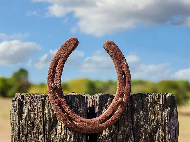 (Wirestock, Getty Images)