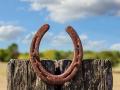 (Wirestock, Getty Images)