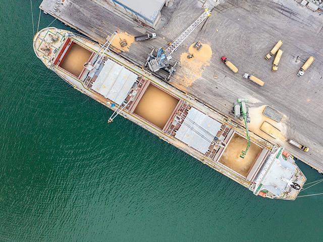 According to the U.S. Wheat Associates, U.S. wheat exports are up 17 percent from last year. (bfk92, Getty Images)