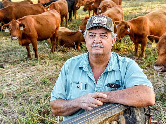 Mississippi cattleman Johnny Thompson has been in the cattle business long enough to know he wants to carefully spend profits now. (Becky Mills)
