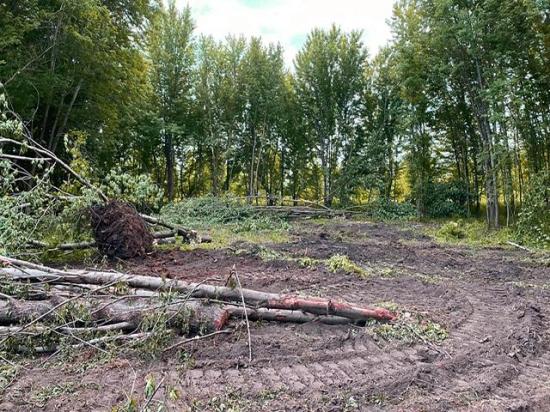 A photo from the federal lawsuit filed by CTM Holdings LLC shows part of the property in Delaware County, Iowa, which includes nine acres that were determined to be wetlands. A U.S. District Court on Thursday upheld USDA&#039;s swampbuster rules, rejecting CTM&#039;s arguments that the rule amounts to taking property without compensation. (Photo from U.S. District Court for Northern Iowa document)