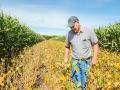 Strip-cropping is part of Dean Sponheim&#039;s conservation efforts on his farm, near Nora Springs, Iowa. (Progressive Farmer image by Joseph L. Murphy)