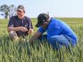 Kansas farmer Justin Knopf (left) believes the key to improving agricultural productivity on his farm begins with the soil. (Matthew Wilde)