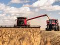 Case IH and sister company, New Holland, are building driverless grain carts guided by path planning systems. (Provided by Raven Industries)