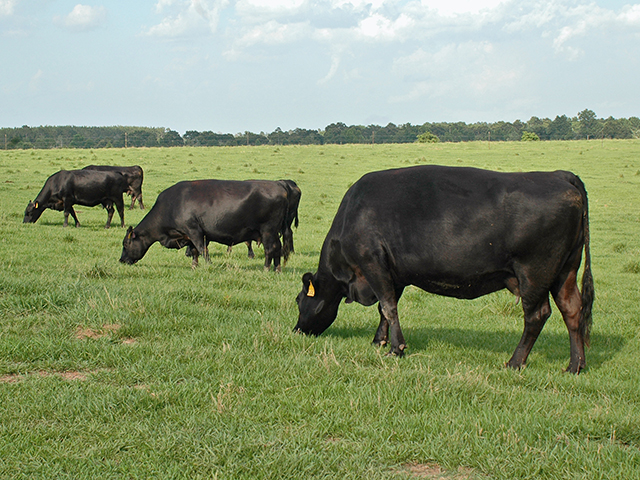 (Progressive Farmer image by Becky Mills)