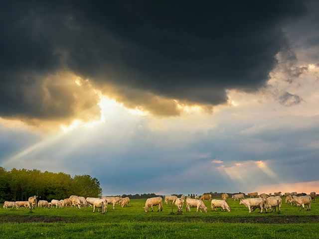 (Progressive Farmer image by Getty Images)