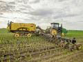 A narrow-row corn crop gets hungry, and Wallis Farms uses sidedressing to meet the yield goals of each field. (Mary Ann Carter)
