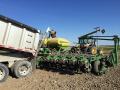 Bailey Family Farm of Xenia, Illinois, thrives on planting continuous soybeans. This year, soybeans make up 80 percent of the family&#039;s acres. (Cole Bailey)