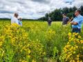 Pollinator plots and conservation plantings on low-yielding soils provide much-needed habitat for quail and other wildlife. (Chaz Holt)