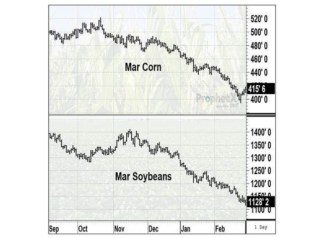 Falling crop prices, like late 2023 and early 2024&#039;s corn and soybeans, can take a financial and mental health toll on growers. (DTN)