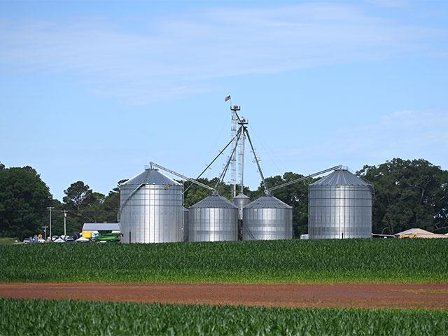 An American flag waves proudly from the grain leg at Henderson Farms where Stuart Sanderson is a partner. (DTN photo by Brent Warren)