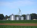 An American flag waves proudly from the grain leg at Henderson Farms where Stuart Sanderson is a partner. (DTN photo by Brent Warren)