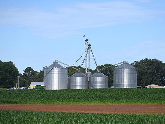An American flag waves proudly from the grain leg at Henderson Farms where Stuart Sanderson is a partner. (DTN photo by Brent Warren)