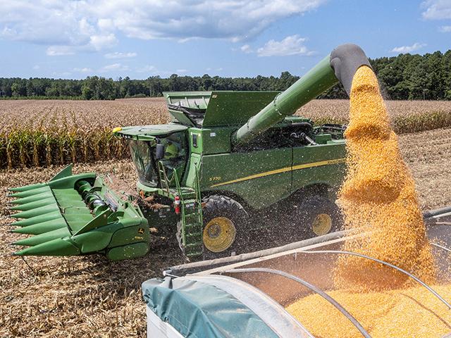 Corn exports are up 34% from a year ago, helping to provide a more optimistic outlook for corn prices. (Joel Reichenberger)