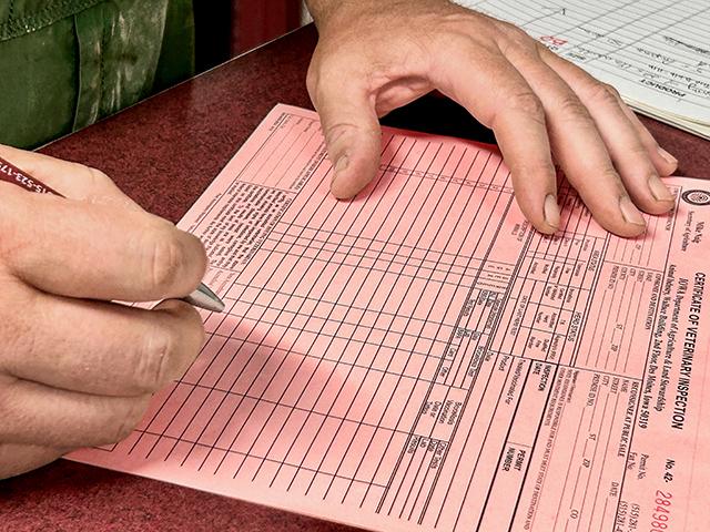 Certificate of Veterinary Inspection (Jennifer Carrico)