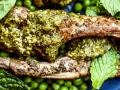 Lamb Chops with Mint Pesto (Rachel Johnson)