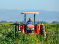 A farm worker outside of Brawley, California, drives a tractor through a field as workers pull up drip irrigation water lines used for onion production. (DTN photo by Chris Clayton)