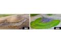 These two images, of the same field area, show the conversion from barren high-salinity soils in 2021 to a revitalized soil biology in 2025, where living roots have reestablished plant growth. (Photos by Joe Dickie Photography)