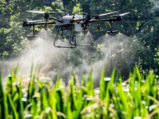 The downward column of air from spray drone rotors moves crop-protection products deeper into the canopy, improving disease control. (DTN/Progressive Farmer photo by Joel Reichenberger)
