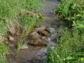 A small stream flowing on a farm. A major conflict over the latest waters of the U.S. rule is whether such areas fall under federal oversight. (DTN file photo by Dan Miller)