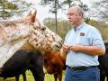 Horses may be on Michael Lowder&#039;s client list, but he specializes in working on the teeth of exotic animals -- from hippos to tigers. (Becky Mills)