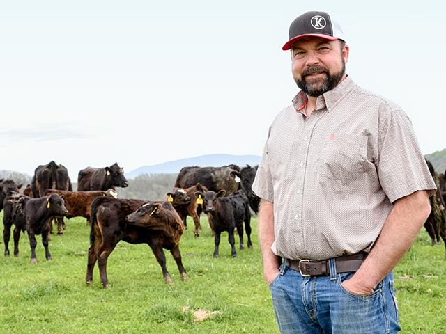 Lebanon, Virginia, cattle producer Zak Ketron markets his commercial feeder calves through the Abingdon Feeder Cattle Association. (Becky Mills)