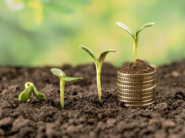 Plans offer high coverage but don&#039;t guarantee profits. (Aleksander Tumko, Getty Images)