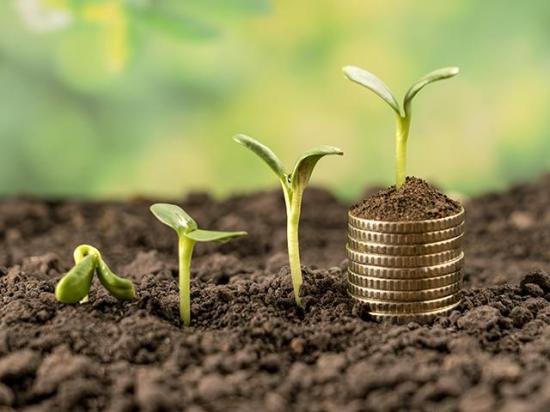 Producers will be taking a closer look at adding Supplemental Coverage Option (SCO) and Enhanced Coverage Option (ECO) to their individual crop insurance policies for 2026. Before jumping in, there are some things to consider. (Photo by Aleksander Tumko, Getty Images)