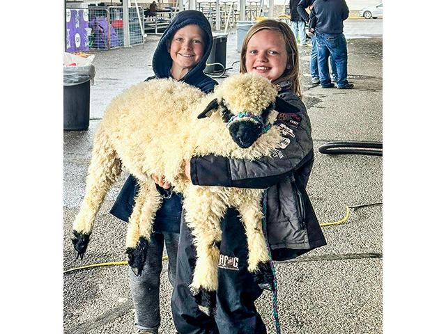 Rosie the sheep with Tiffany Dowell Lashmet's dealmaking children. (DTN/Progressive Farmer photo by Tiffany Dowell Lashmet)
