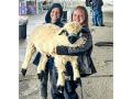 Rosie the sheep with Tiffany Dowell Lashmet's dealmaking children. (DTN/Progressive Farmer photo by Tiffany Dowell Lashmet)