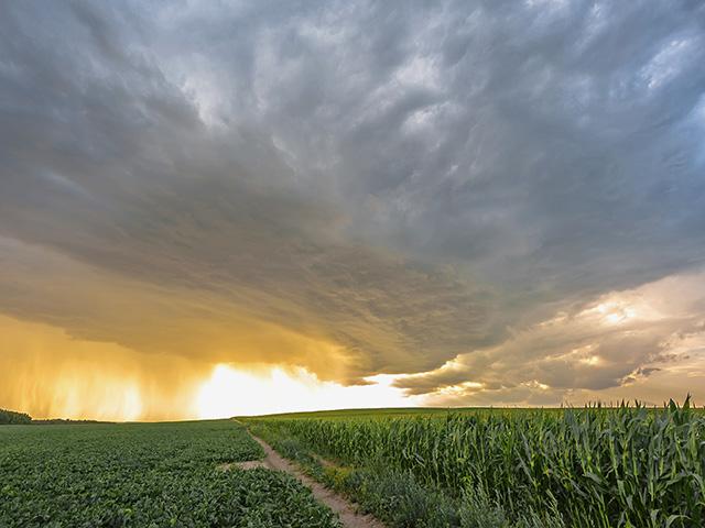 Agriculture groups filed public comments on a proposed U.S. Securities Exchange Commission rule that could require farms to report climate data. (DTN file photo)
