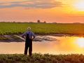 (Progressive Farmer image by Getty Images)