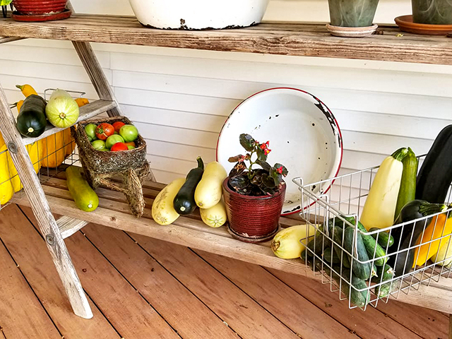 Blogger Katie Pratt says as her gardening skills have grown, so has her growing success. Last summer, she opened her porch pantry to begin sharing with others. Especially if anyone wants zucchini. (DTN/The Progressive Farmer photo by Katie Pratt)