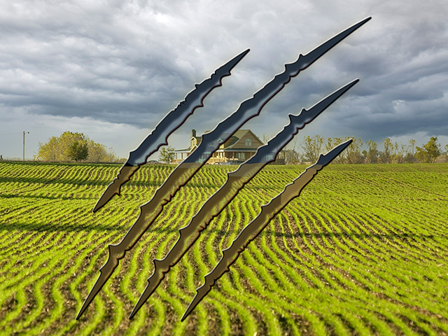 (DTN/Progressive Farmer photo illustration by Barry Falkner, photo by Jim Patrico)