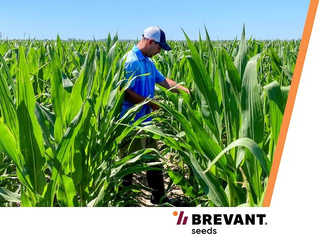 Set individual goals to stay ahead of the curve. (Provided by Brevant and Corteva)