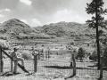 (Progressive Farmer Archives)